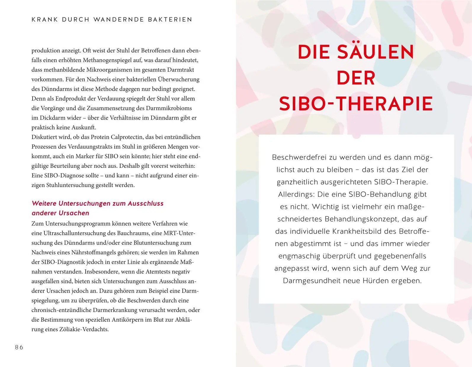 Bild: 9783833886072 | Endlich Heilung für den Reizdarm | Nicole Schaenzler | Taschenbuch