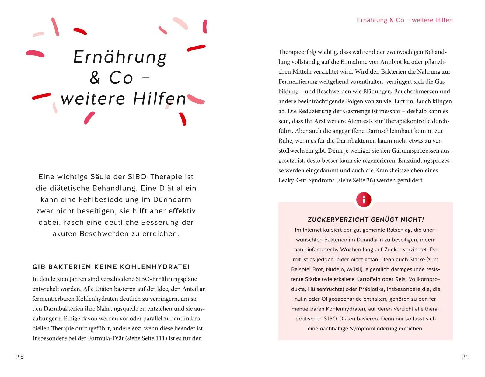 Bild: 9783833886072 | Endlich Heilung für den Reizdarm | Nicole Schaenzler | Taschenbuch