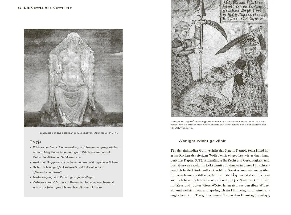Bild: 9783534276172 | Fit für Walhalla | Nordische Mythen für Einsteiger | Larrington | Buch