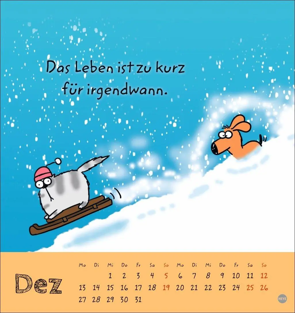 Bild: 9783756416172 | Catzz Postkartenkalender 2027 | Alexander Holzach | Kalender | 13 S.