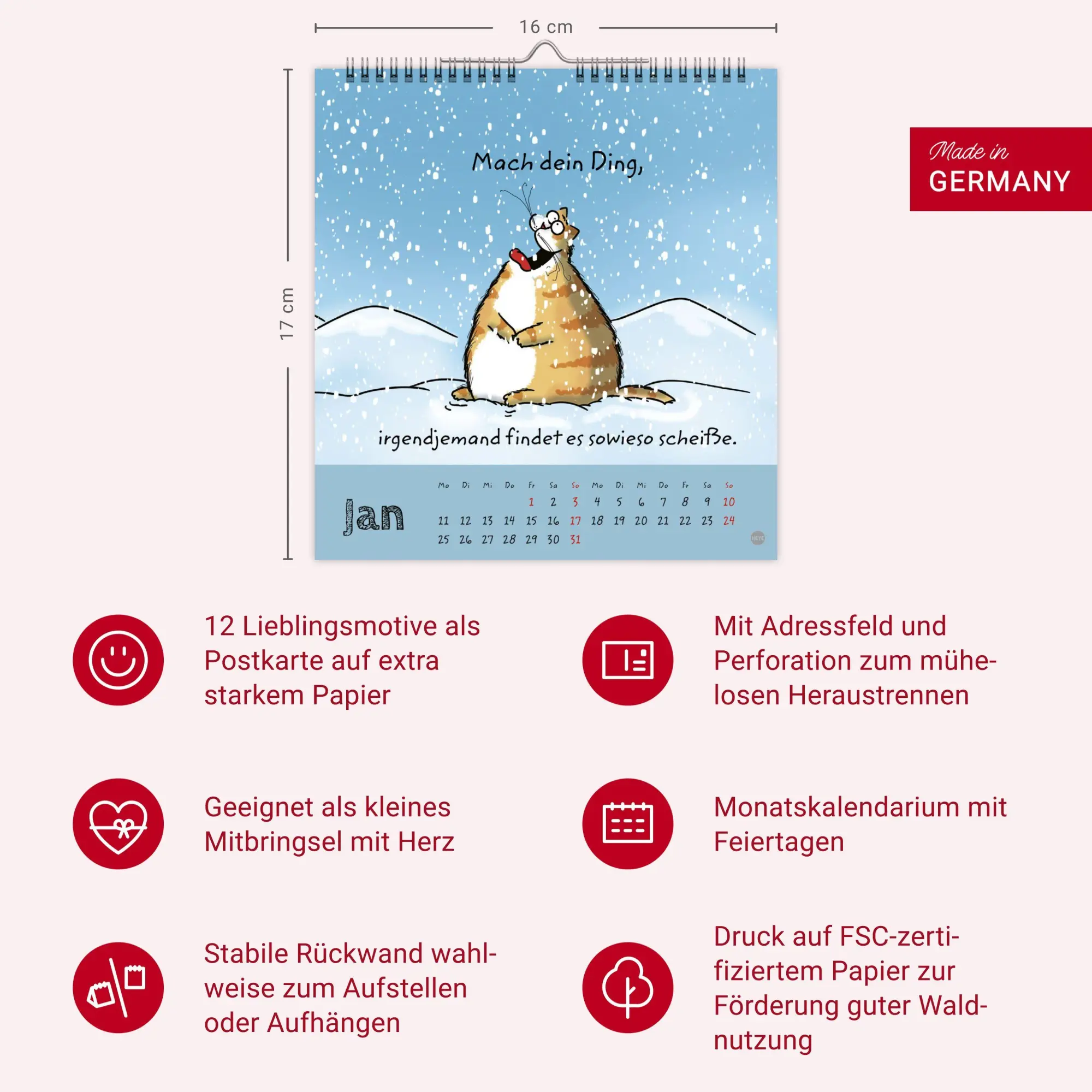 Bild: 9783756416172 | Catzz Postkartenkalender 2027 | Alexander Holzach | Kalender | 13 S.