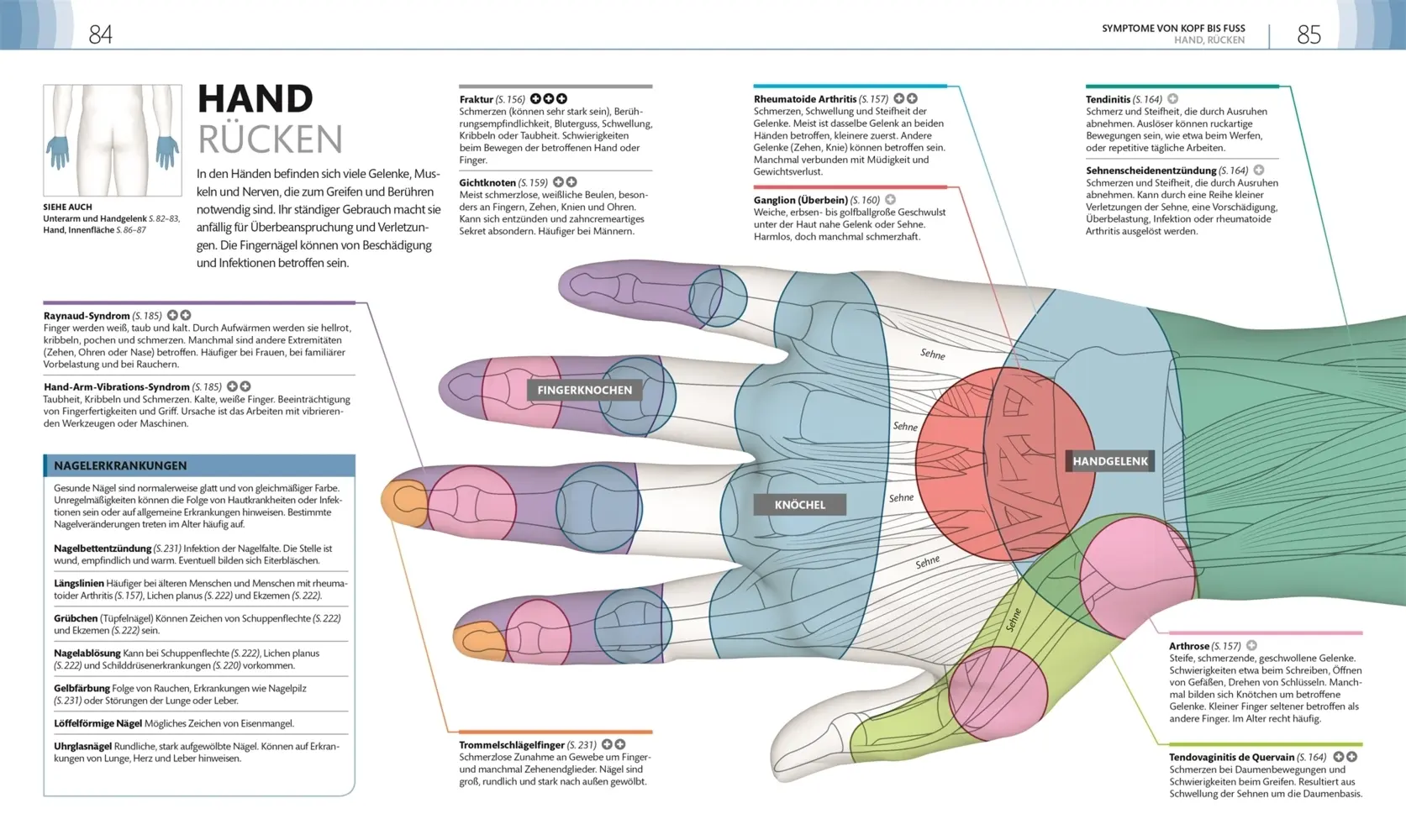 Bild: 9783831036172 | Praxisbuch Selbstdiagnose | DK Verlag | Taschenbuch | Deutsch | 2018