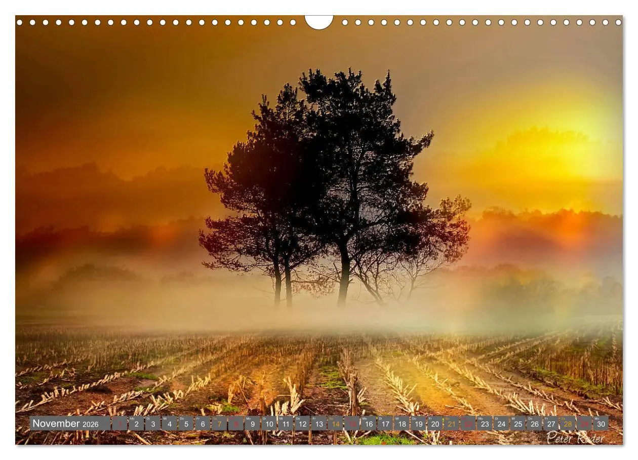 Bild: 9783516206272 | Friesland, verzauberte Landschaft an der Nordsee (Wandkalender 2026...