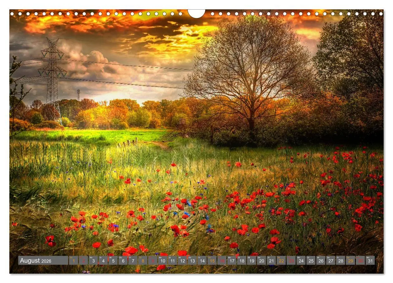 Bild: 9783516206272 | Friesland, verzauberte Landschaft an der Nordsee (Wandkalender 2026...
