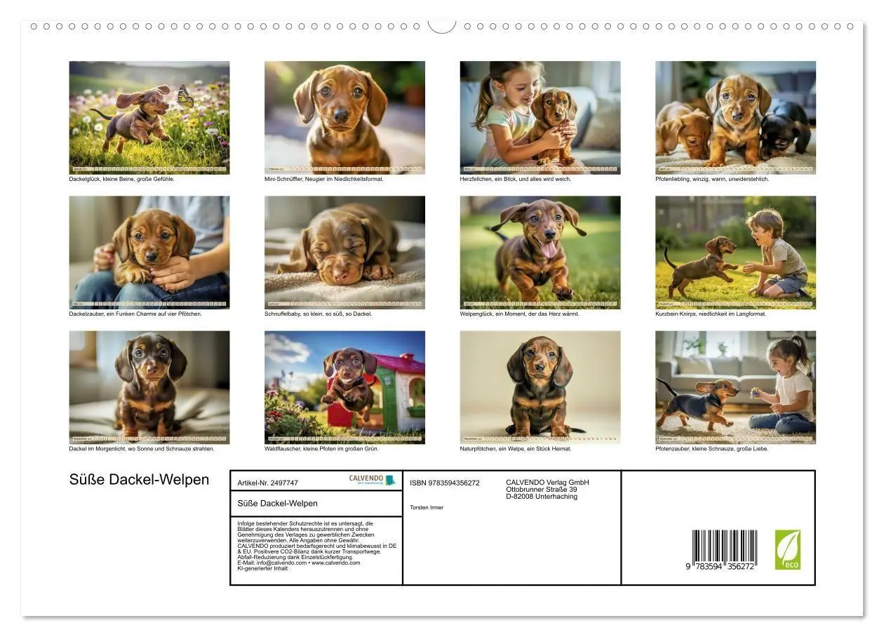 Bild: 9783594356272 | Süße Dackel-Welpen (hochwertiger Premium Wandkalender 2027 DIN A2...