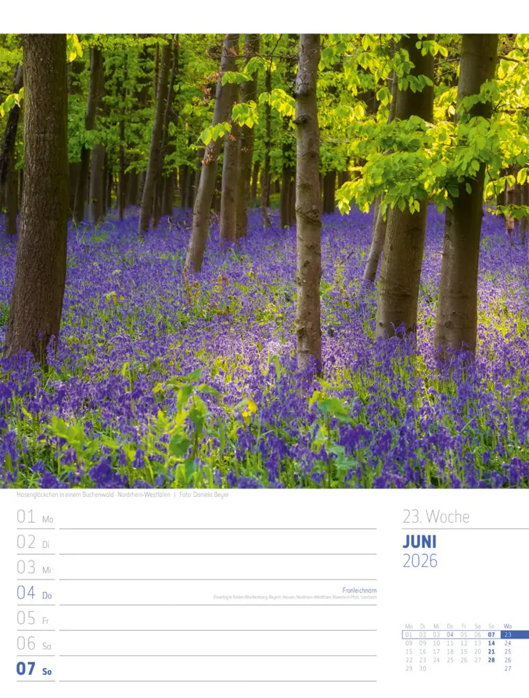 Bild: 9783838436272 | Abenteuer Deutschland Wochenplaner Kalender 2026 Naturparadiese | GmbH