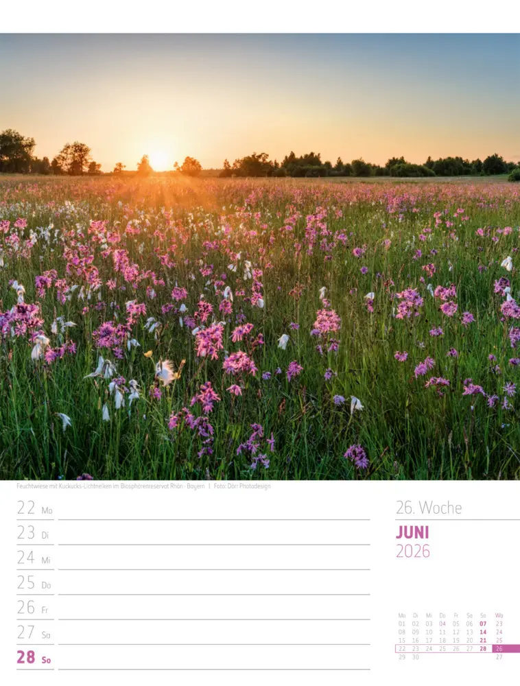 Bild: 9783838436272 | Abenteuer Deutschland Wochenplaner Kalender 2026 Naturparadiese | GmbH