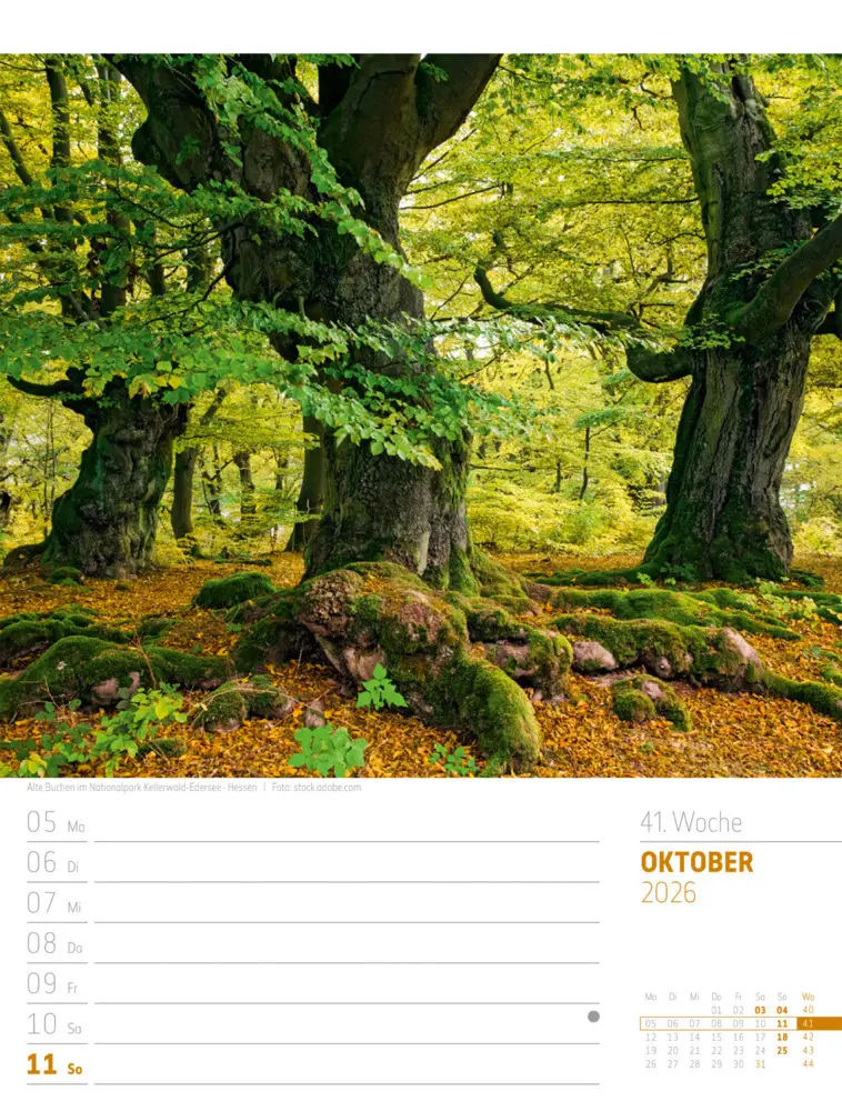 Bild: 9783838436272 | Abenteuer Deutschland Wochenplaner Kalender 2026 Naturparadiese | GmbH