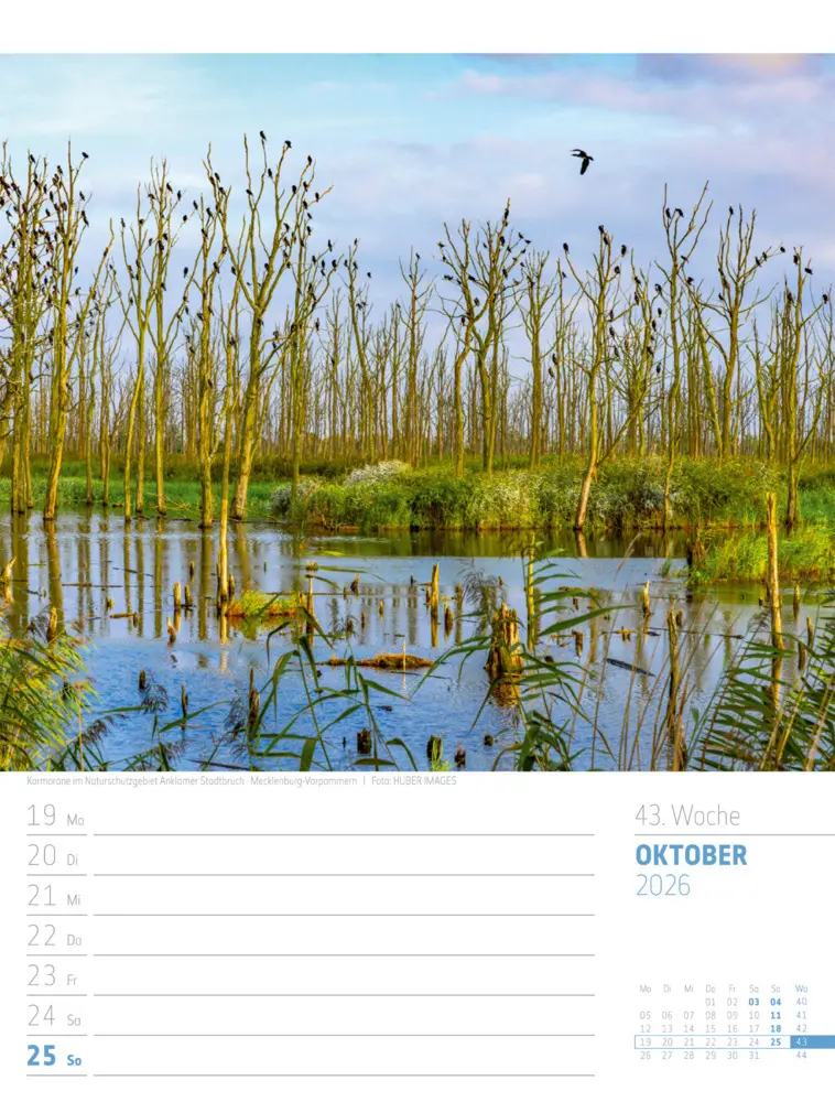 Bild: 9783838436272 | Abenteuer Deutschland Wochenplaner Kalender 2026 Naturparadiese | GmbH