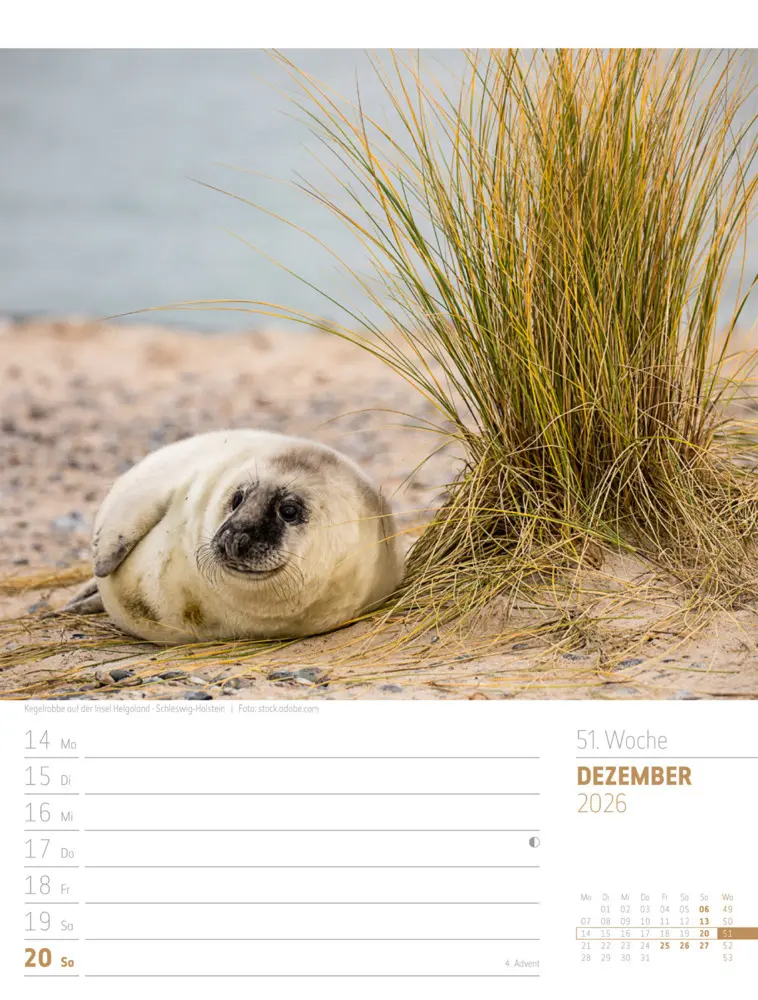 Bild: 9783838436272 | Abenteuer Deutschland Wochenplaner Kalender 2026 Naturparadiese | GmbH