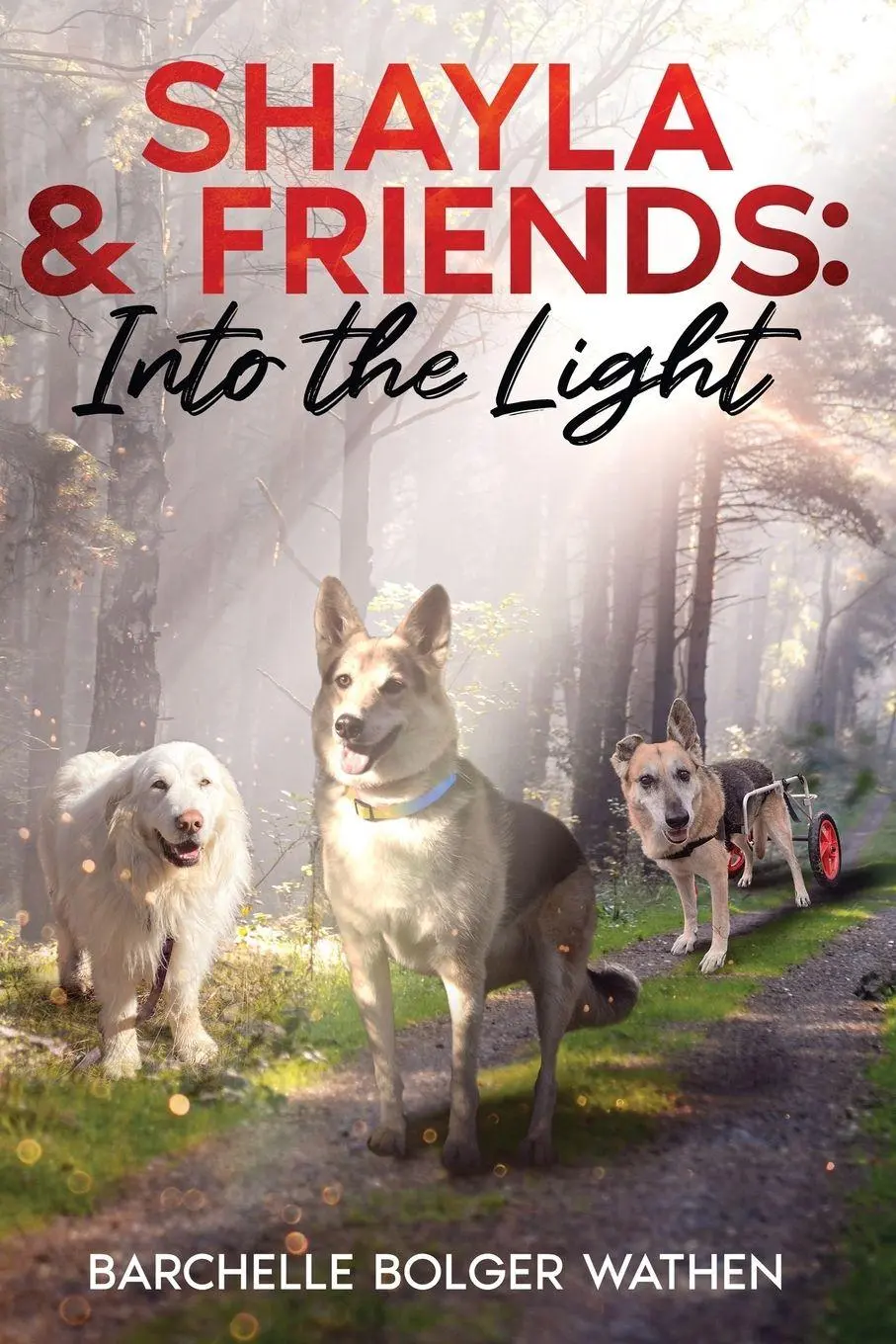 Cover: 9798218496272 | Shayla &amp; Friends | Into the Light | Barchelle Bolger Wathen | Buch