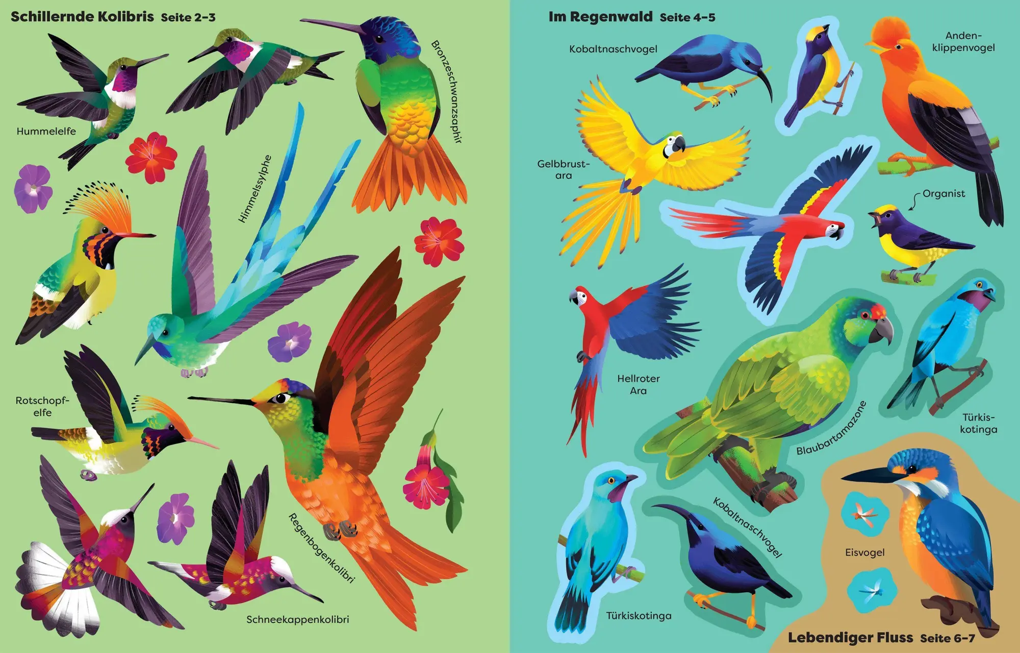 Bild: 9781035706372 | Die große Sticker-Tierwelt: Vögel | Emily Bone (u. a.) | Taschenbuch