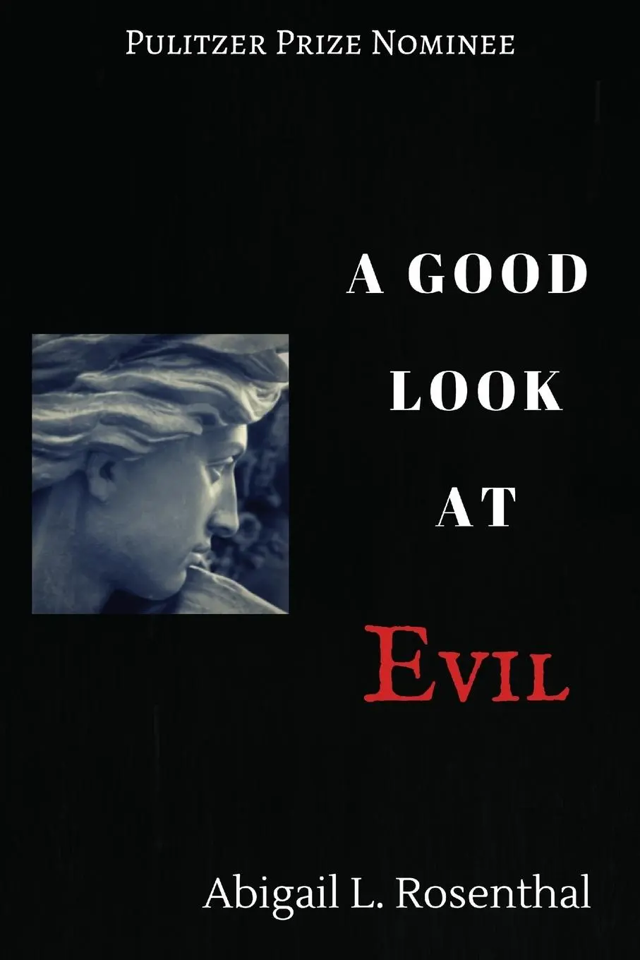 Cover: 9781532616372 | A Good Look at Evil | Abigail L. Rosenthal | Taschenbuch | Englisch