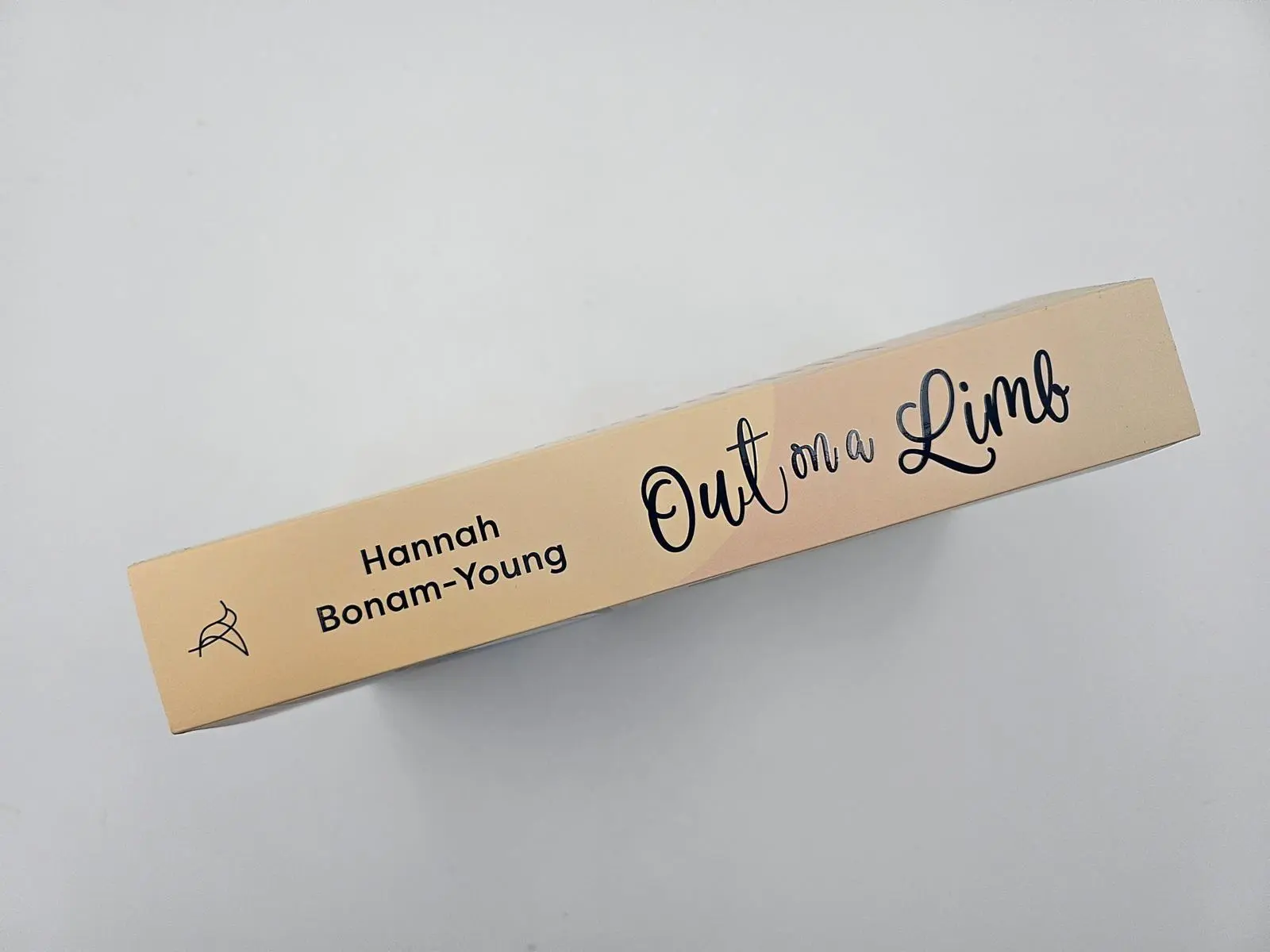 Bild: 9783492066372 | Out on a Limb | Hannah Bonam-Young | Taschenbuch | 416 S. | Deutsch