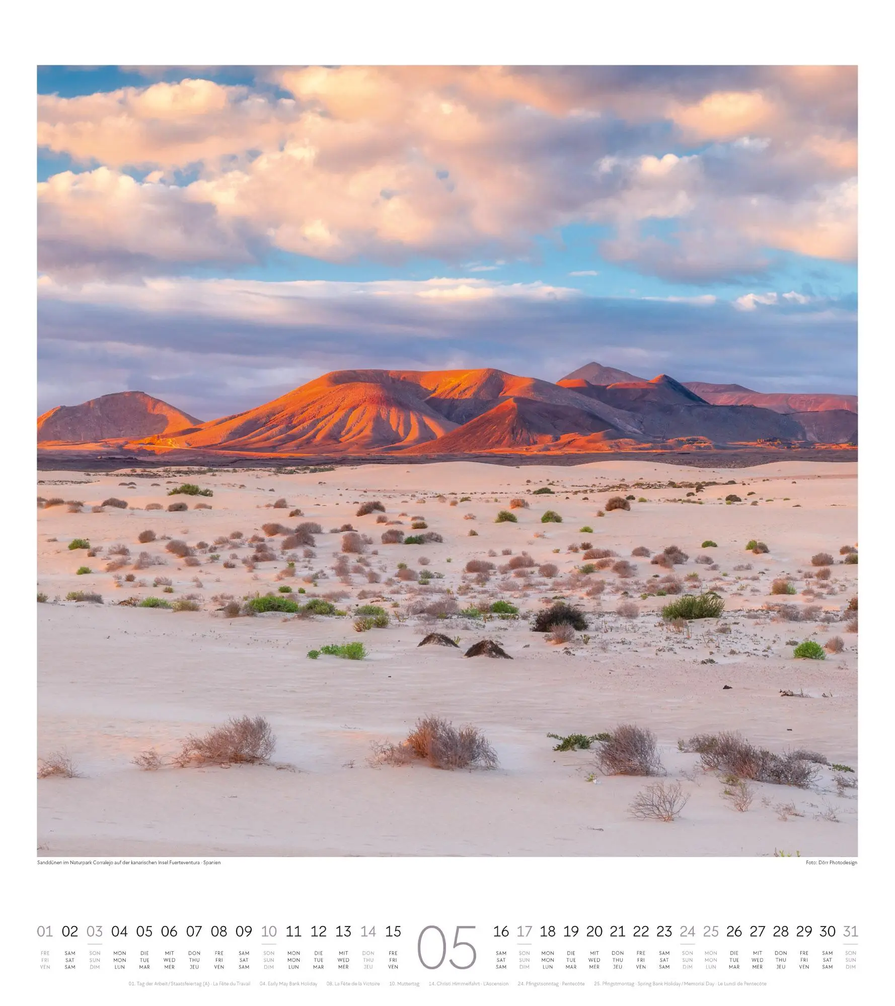 Bild: 9783838426372 | Lichtblicke Kalender 2026 | Ackermann Kunstverlag GmbH | Kalender