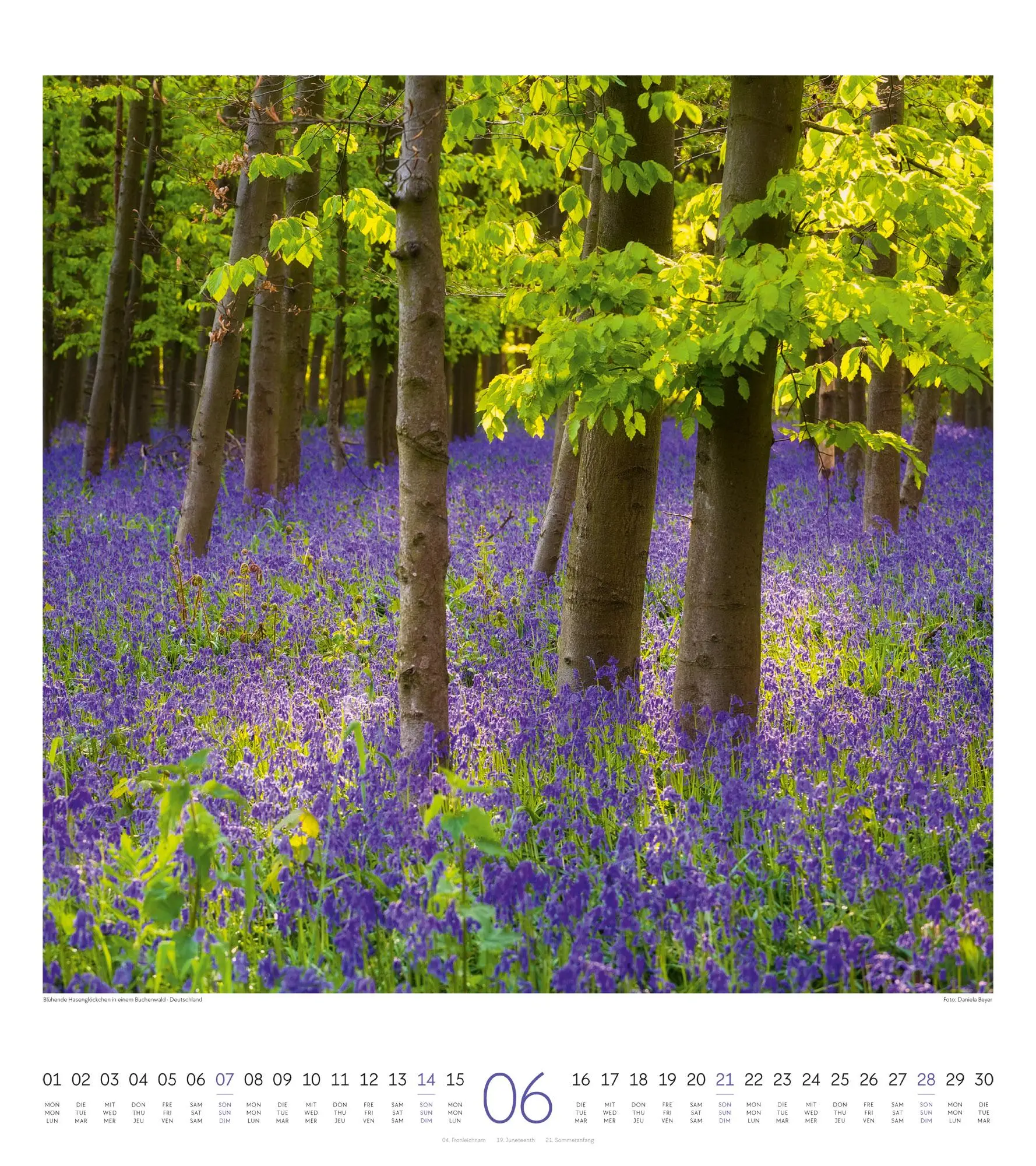 Bild: 9783838426372 | Lichtblicke Kalender 2026 | Ackermann Kunstverlag GmbH | Kalender