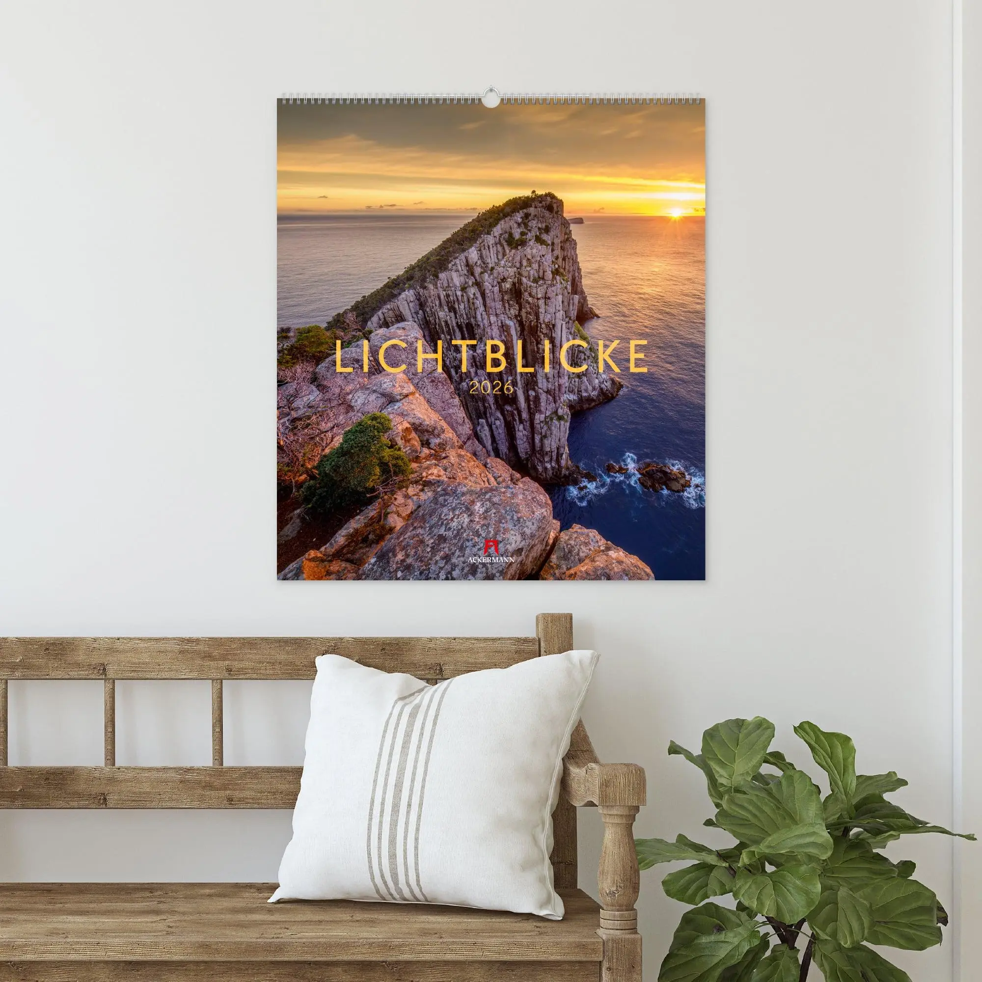 Bild: 9783838426372 | Lichtblicke Kalender 2026 | Ackermann Kunstverlag GmbH | Kalender