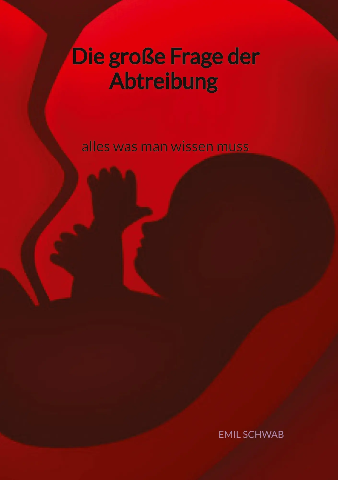Cover: 9783347996472 | Die große Frage der Abtreibung - alles was man wissen muss | Schwab