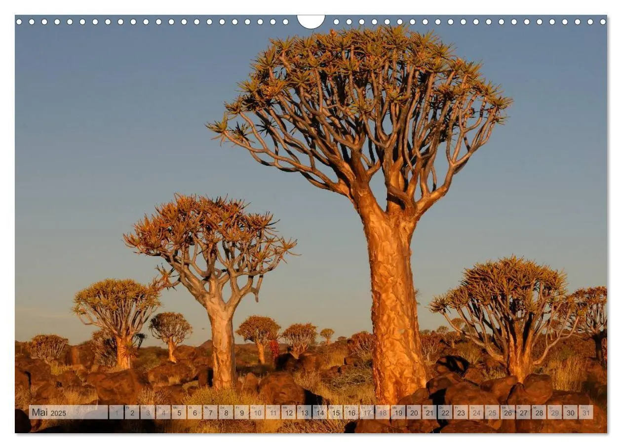 Bild: 9783435786572 | NAMIBIA Christian Heeb (Wandkalender 2025 DIN A3 quer), CALVENDO...