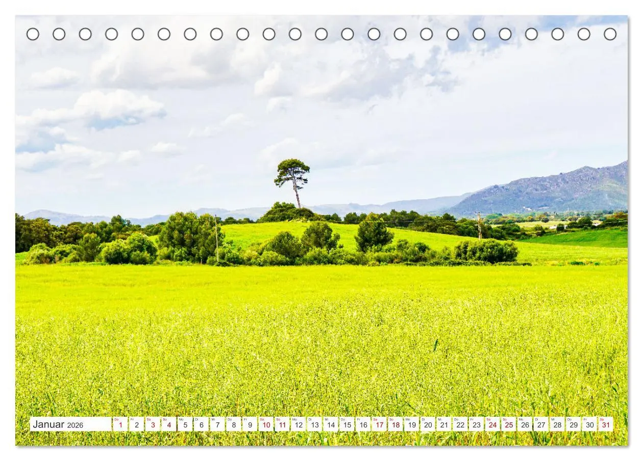 Bild: 9783457636572 | Mallorca Meine Liebe (Tischkalender 2026 DIN A5 quer), CALVENDO...