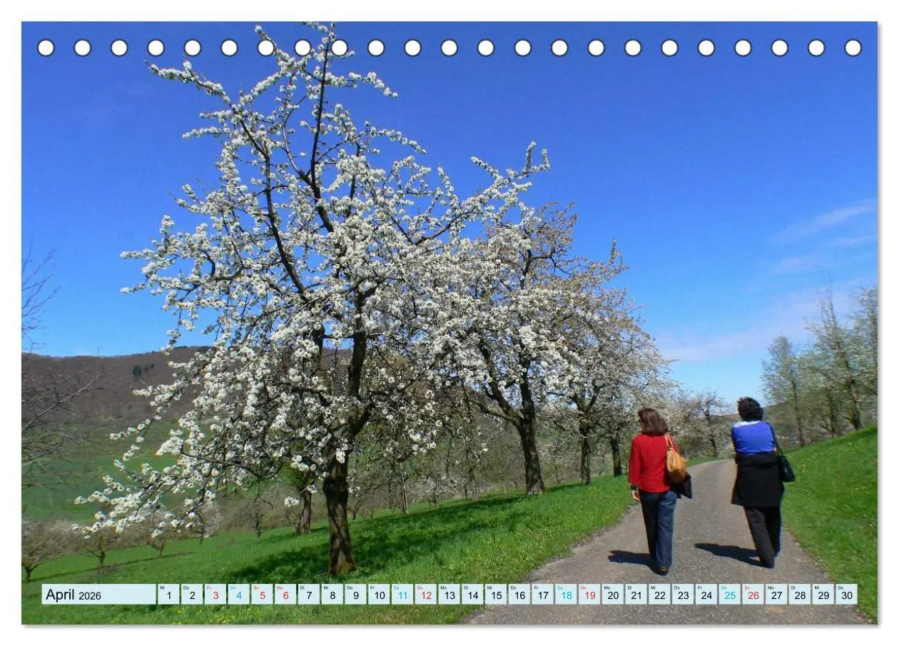 Bild: 9783457946572 | Stimmungsvolle Schwäbische Alb (Tischkalender 2026 DIN A5 quer),...