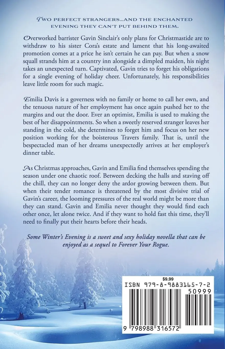 Rückseite: 9798988316572 | Some Winter's Evening | Erin Langston | Taschenbuch | Englisch | 2023