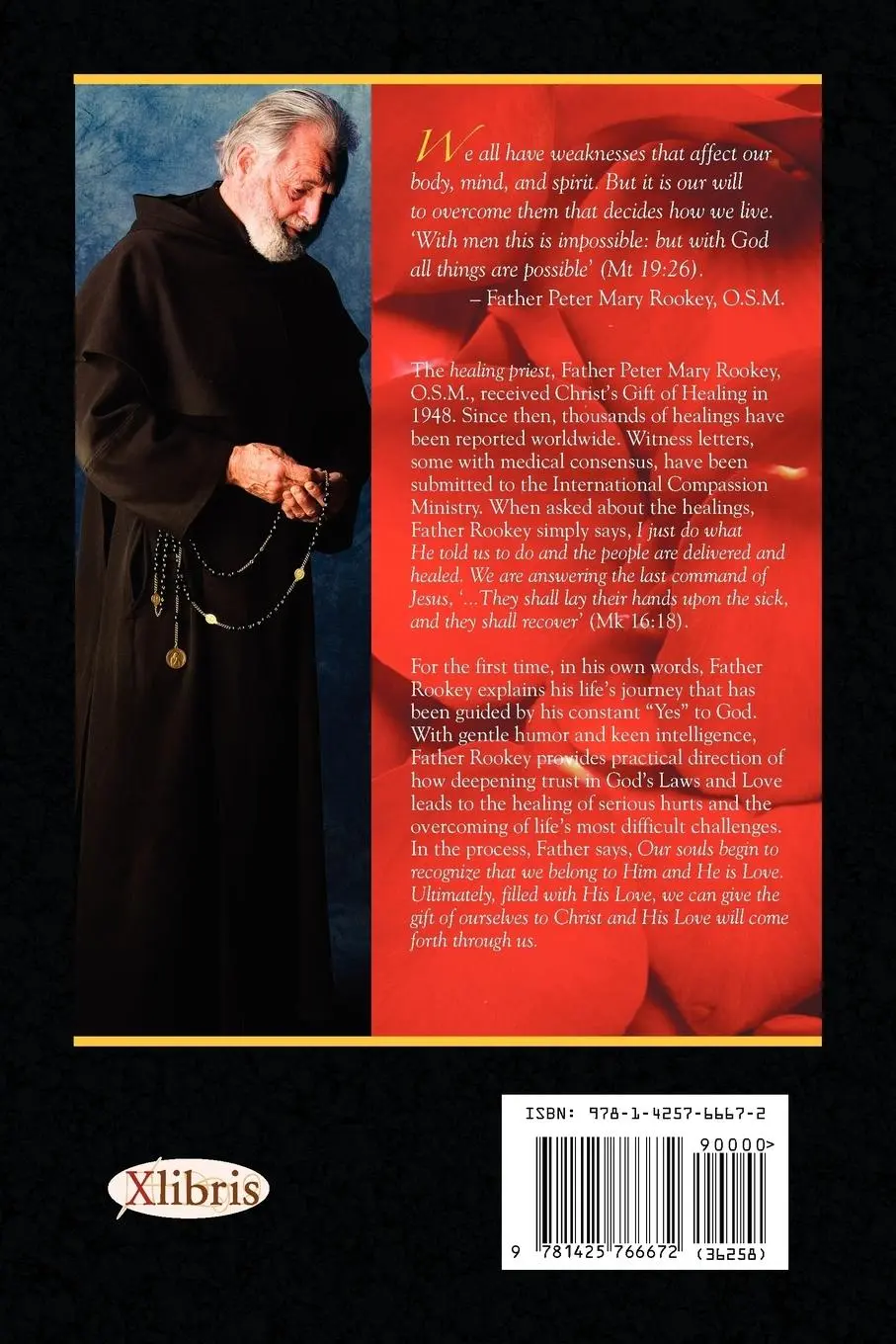 Rückseite: 9781425766672 | Healer of Souls | Kathleen E. Quasey | Taschenbuch | Englisch | 2008