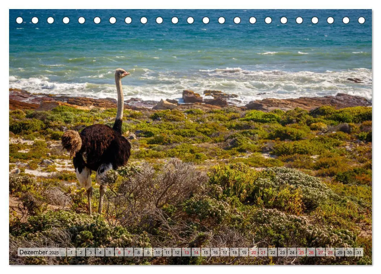 Bild: 9783435386772 | Südafrika: Kapstadt, Garden Route und Cape Winelands (Tischkalender...