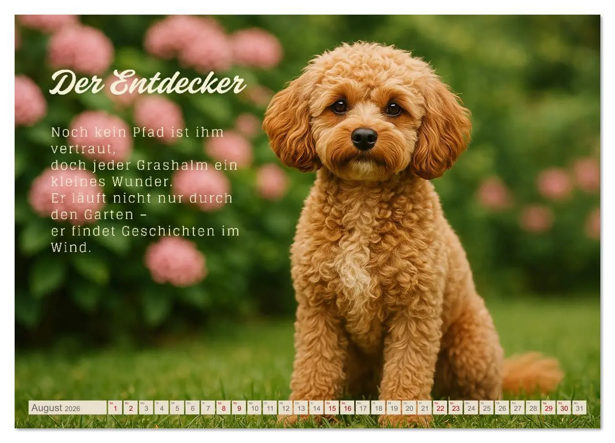 Bild: 9783516636772 | Hunde mit Charakter (Wandkalender 2026 DIN A3 quer), CALVENDO...