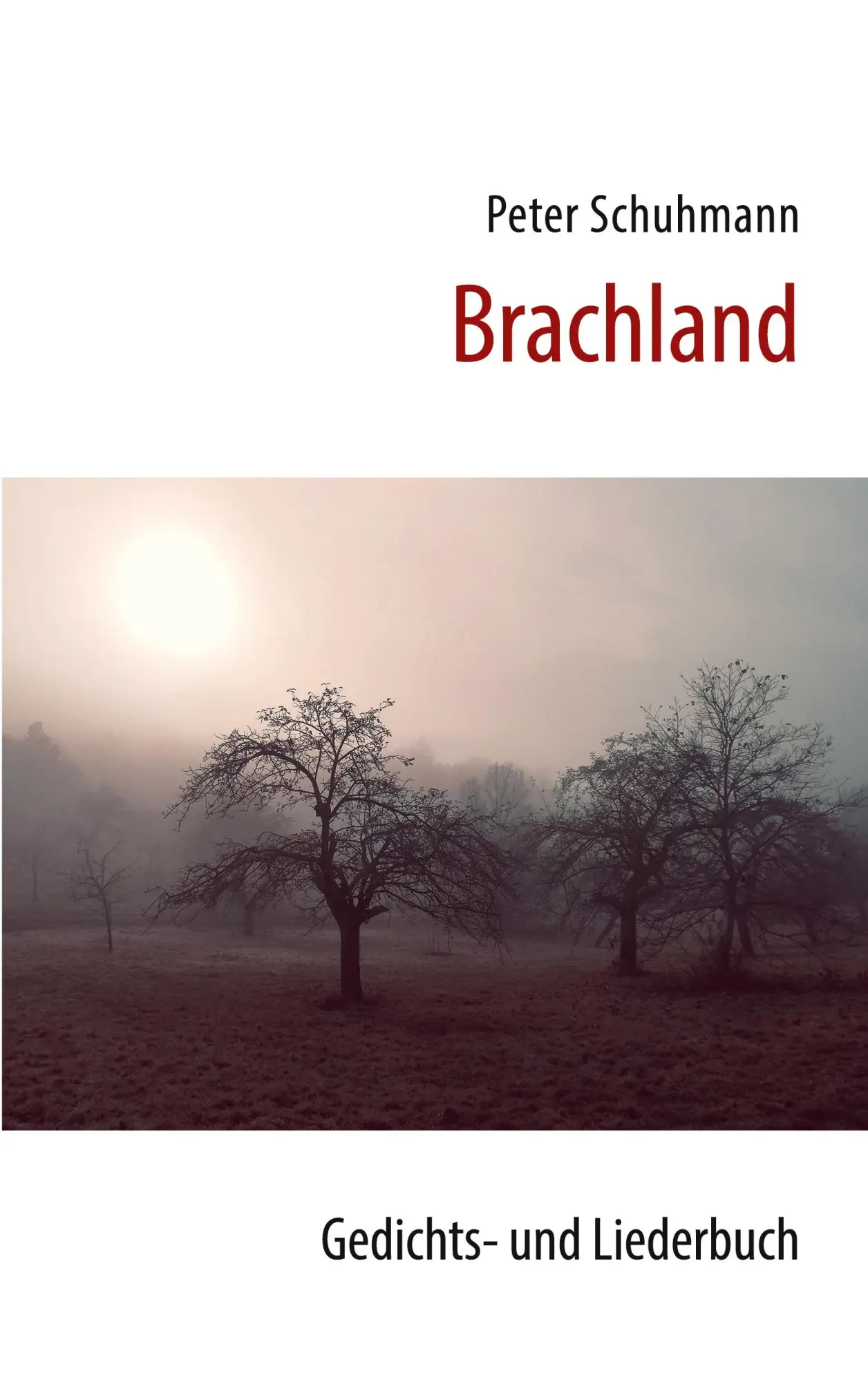 Cover: 9783695146772 | Brachland | Gedichts- und Liederbuch | Peter Schuhmann | Taschenbuch