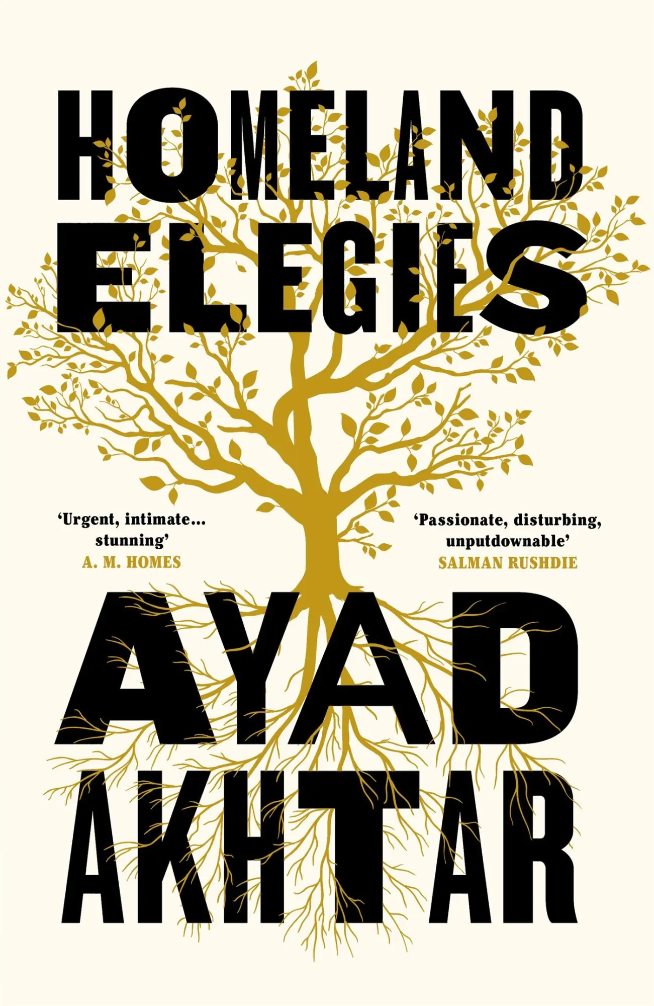 Cover: 9781472276872 | Homeland Elegies | A Barack Obama Favourite Book | Ayad Akhtar | Buch
