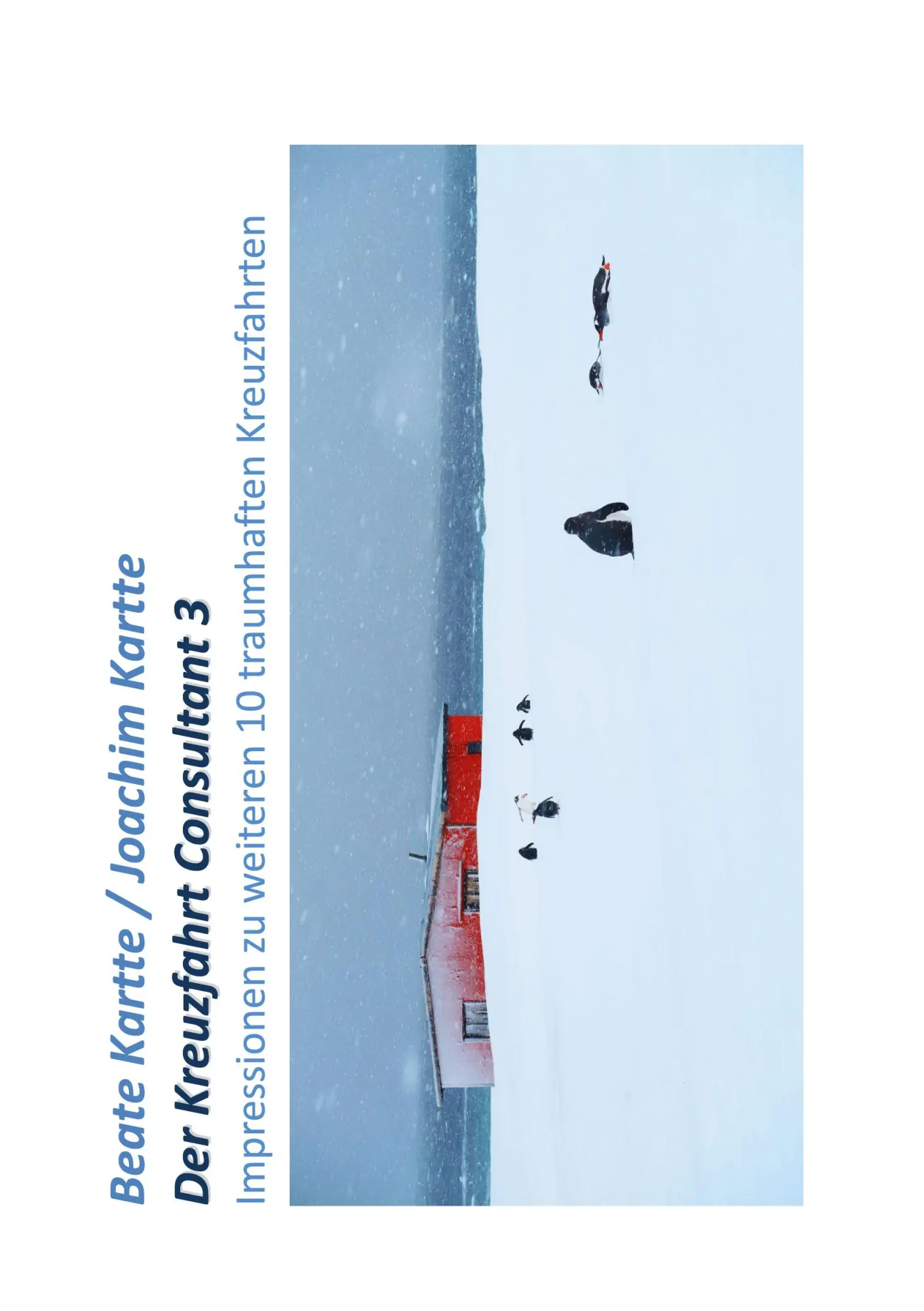 Cover: 9783696366872 | Der Kreuzfahrt Consultant 3 | Beate Kartte (u. a.) | Taschenbuch