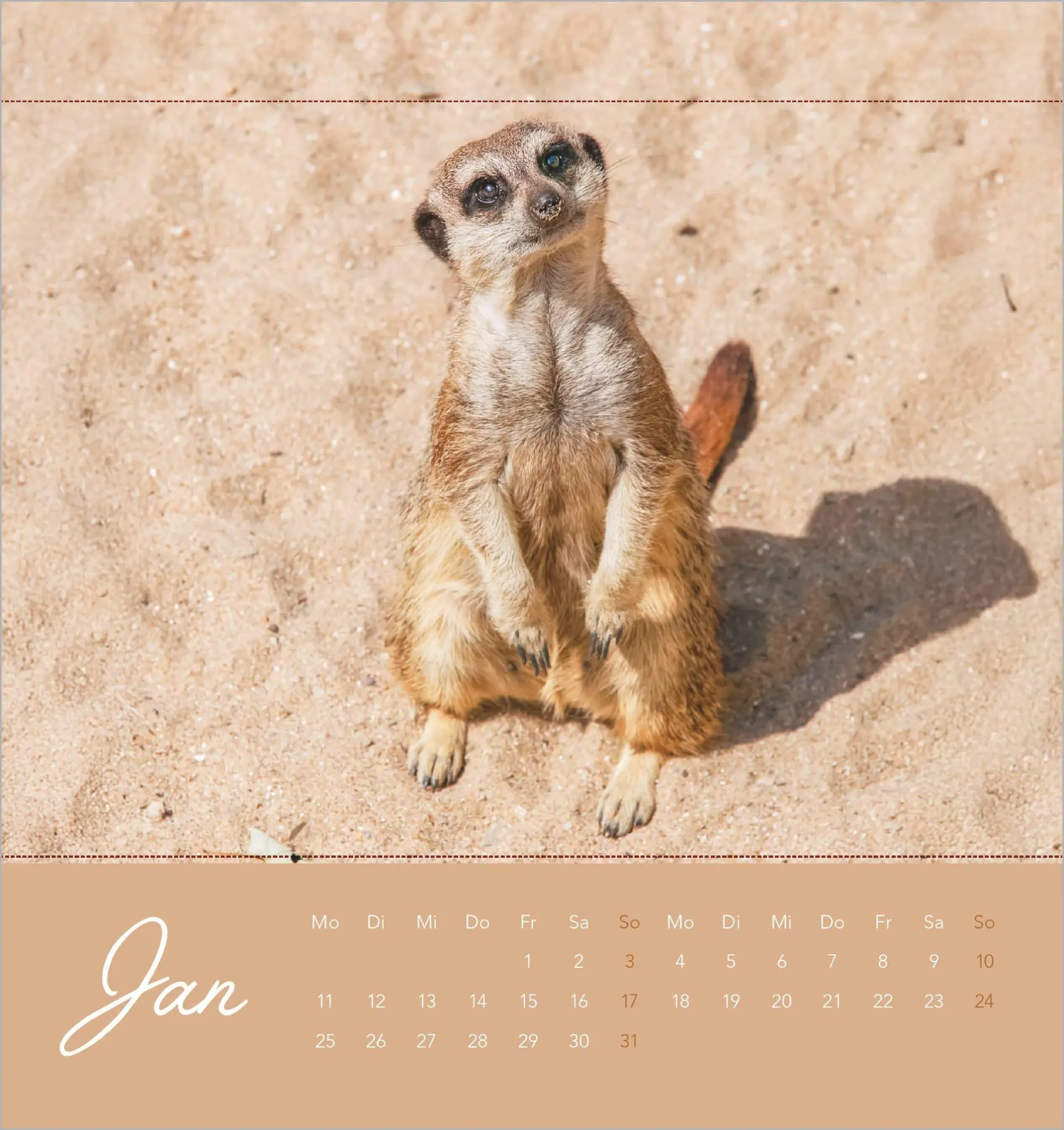 Bild: 4069095016972 | Freche Erdmännchen 2027 | Neumann Verlage GmbH &amp; Co KG | Kalender