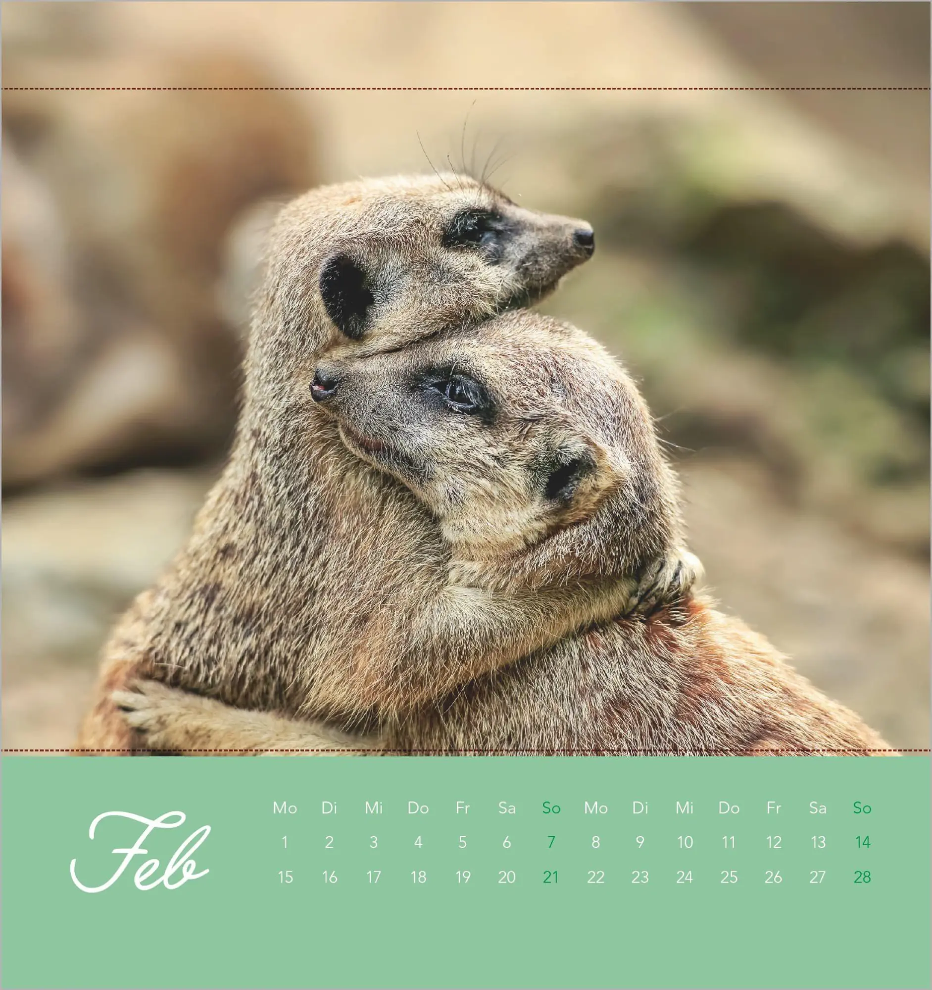 Bild: 4069095016972 | Freche Erdmännchen 2027 | Neumann Verlage GmbH &amp; Co KG | Kalender