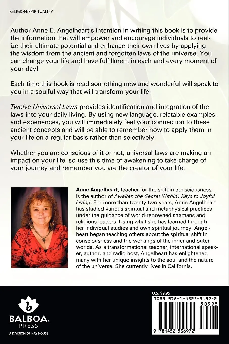 Rückseite: 9781452536972 | Twelve Universal Laws | The Truth That Will Transform Your Life | Buch