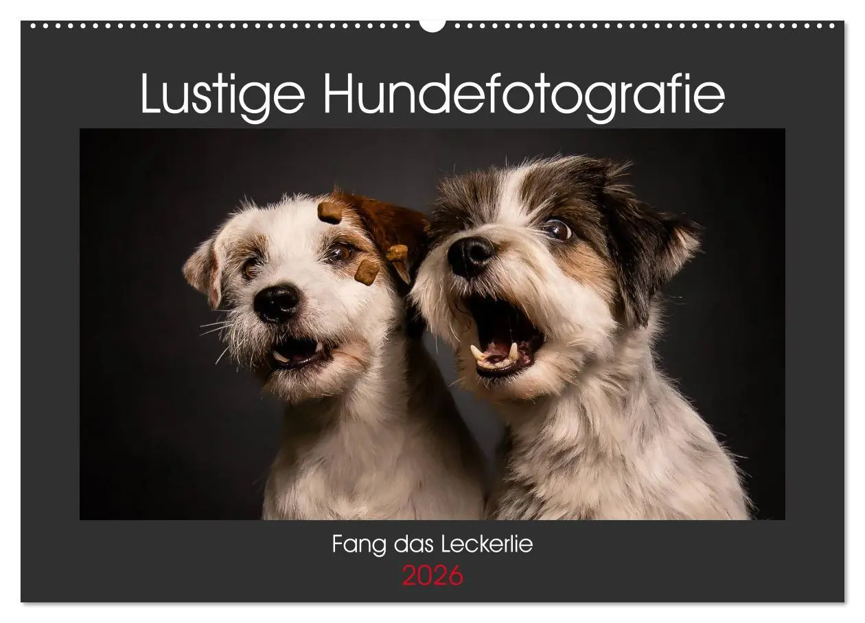 Cover: 9783457836972 | Fang das Leckerlie (Wandkalender 2026 DIN A2 quer), CALVENDO...
