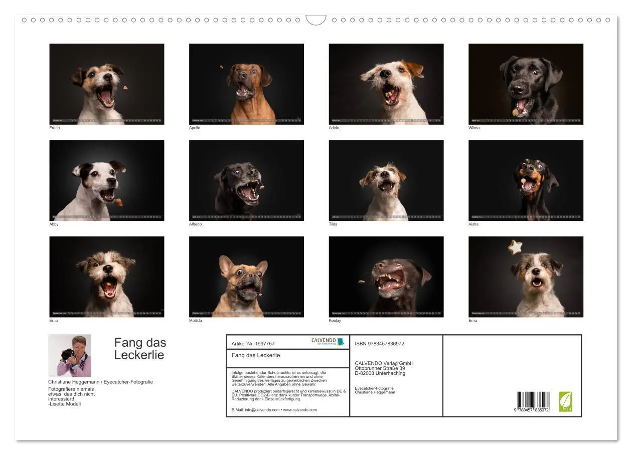 Bild: 9783457836972 | Fang das Leckerlie (Wandkalender 2026 DIN A2 quer), CALVENDO...