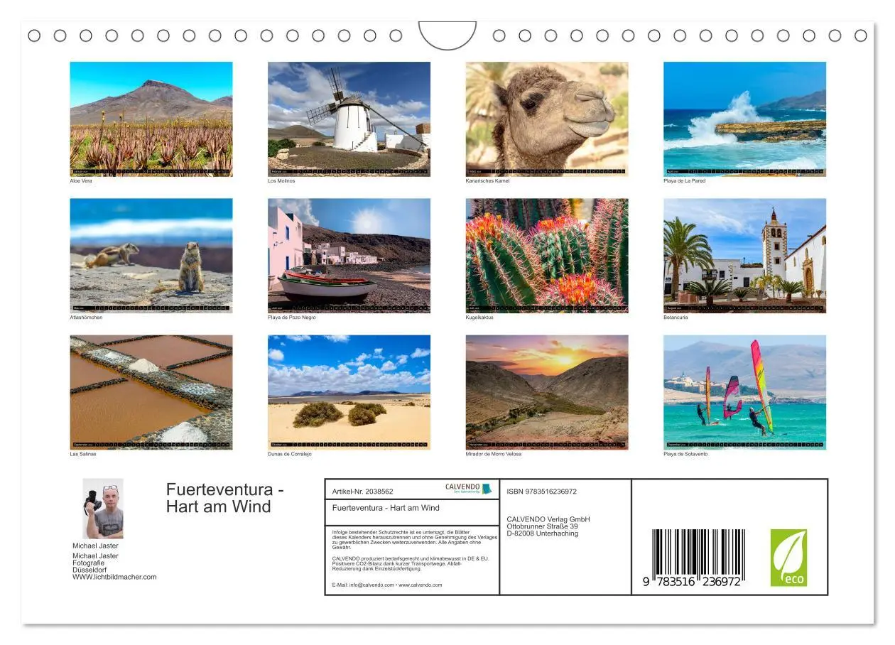 Bild: 9783516236972 | Fuerteventura - Hart am Wind (Wandkalender 2026 DIN A4 quer),...