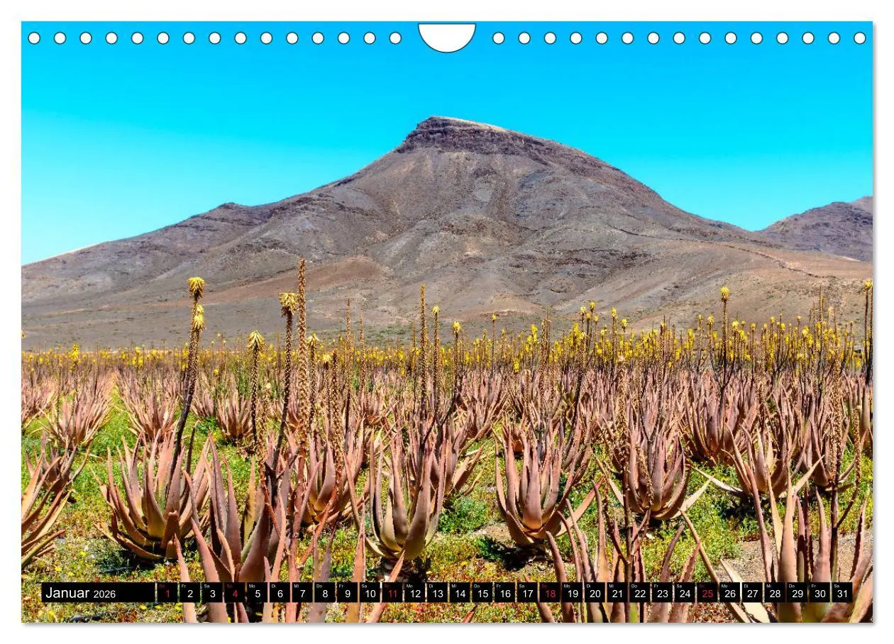 Bild: 9783516236972 | Fuerteventura - Hart am Wind (Wandkalender 2026 DIN A4 quer),...