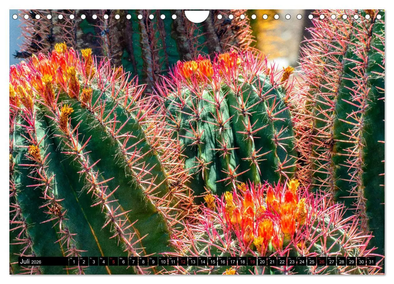 Bild: 9783516236972 | Fuerteventura - Hart am Wind (Wandkalender 2026 DIN A4 quer),...