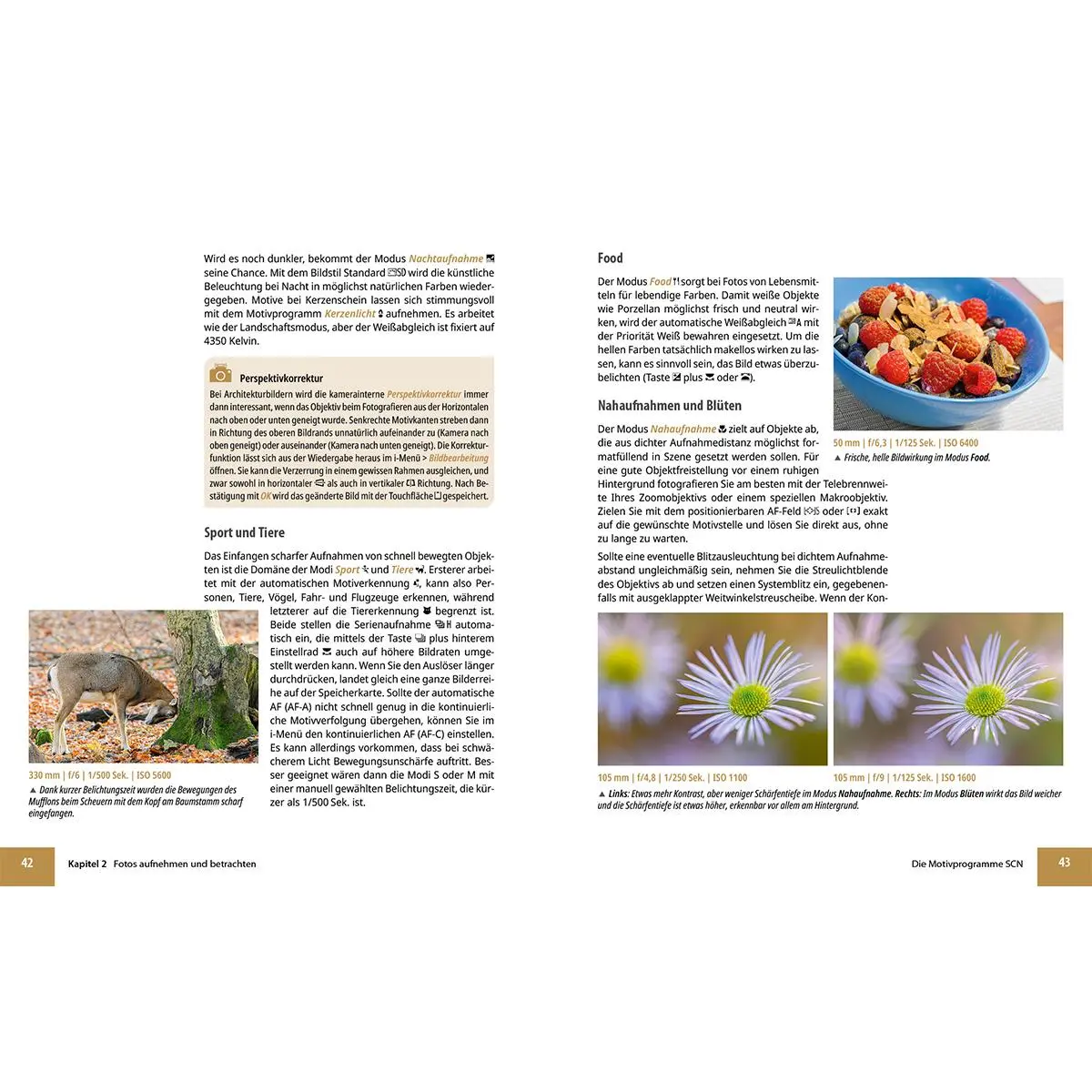 Bild: 9783832806972 | Nikon Z50 II | Das umfangreiche Praxisbuch zu Ihrer Kamera! | Buch