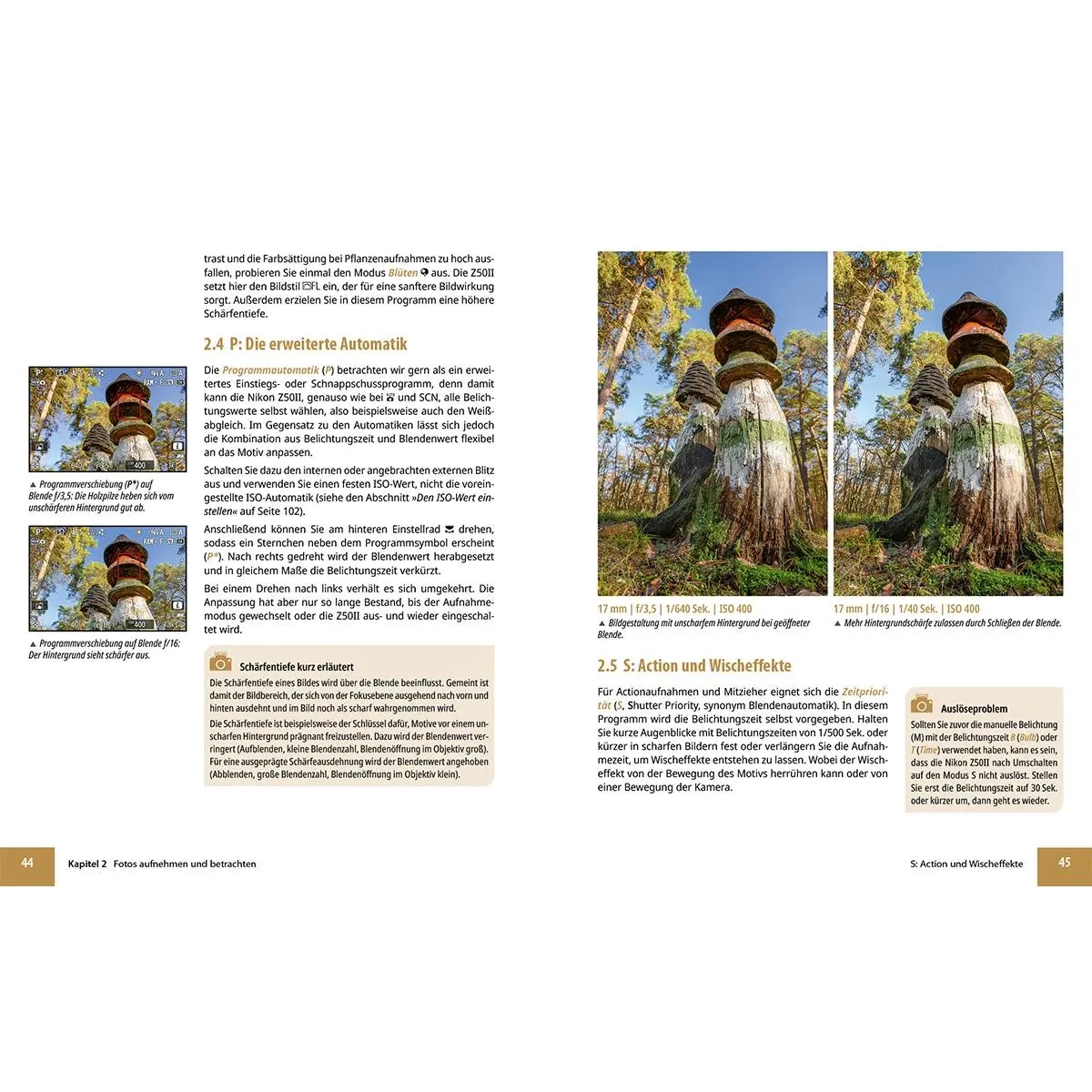 Bild: 9783832806972 | Nikon Z50 II | Das umfangreiche Praxisbuch zu Ihrer Kamera! | Buch