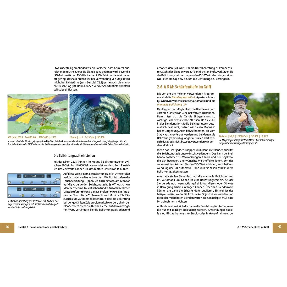 Bild: 9783832806972 | Nikon Z50 II | Das umfangreiche Praxisbuch zu Ihrer Kamera! | Buch