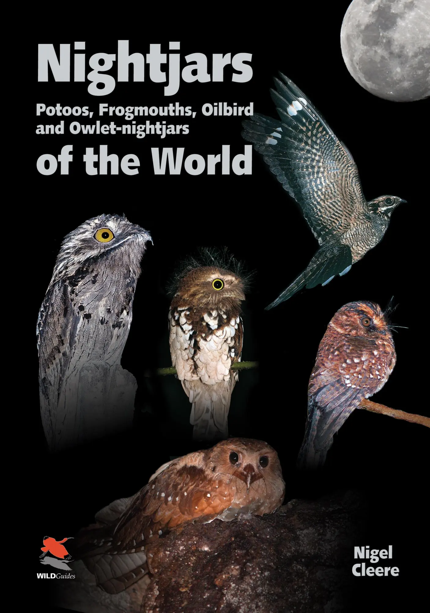 Cover: 9781903657072 | Nightjars, Potoos, Frogmouths, Oilbird, and Owlet-nightjars of the...