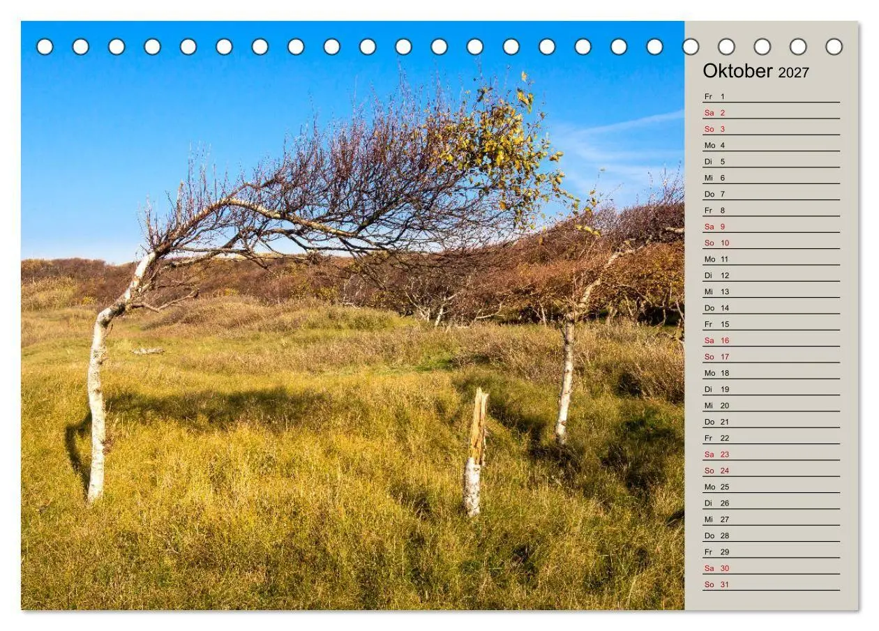 Bild: 9783569767072 | NORDERNEY Geburtstagskalender mit Planerfunktion (Tischkalender...
