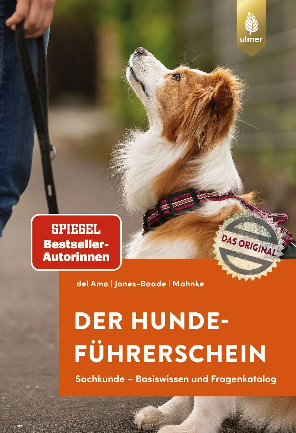 Cover: 9783818627072 | Der Hundeführerschein | Celina Del Amo (u. a.) | Taschenbuch | 144 S.