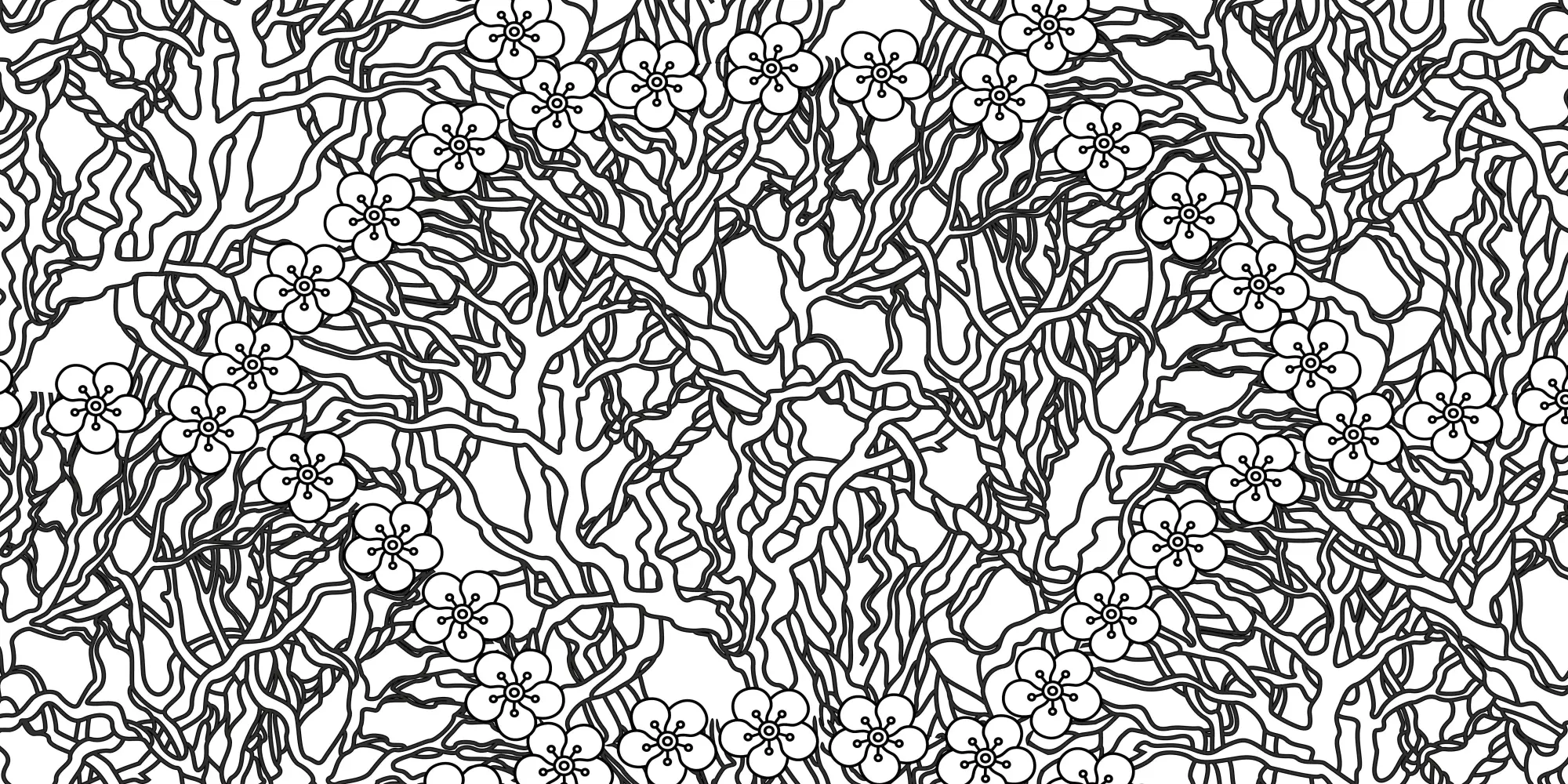 Bild: 9788863127072 | Magische Natur | Ausmalbuch zur kreativen Stressbewältigung | Star