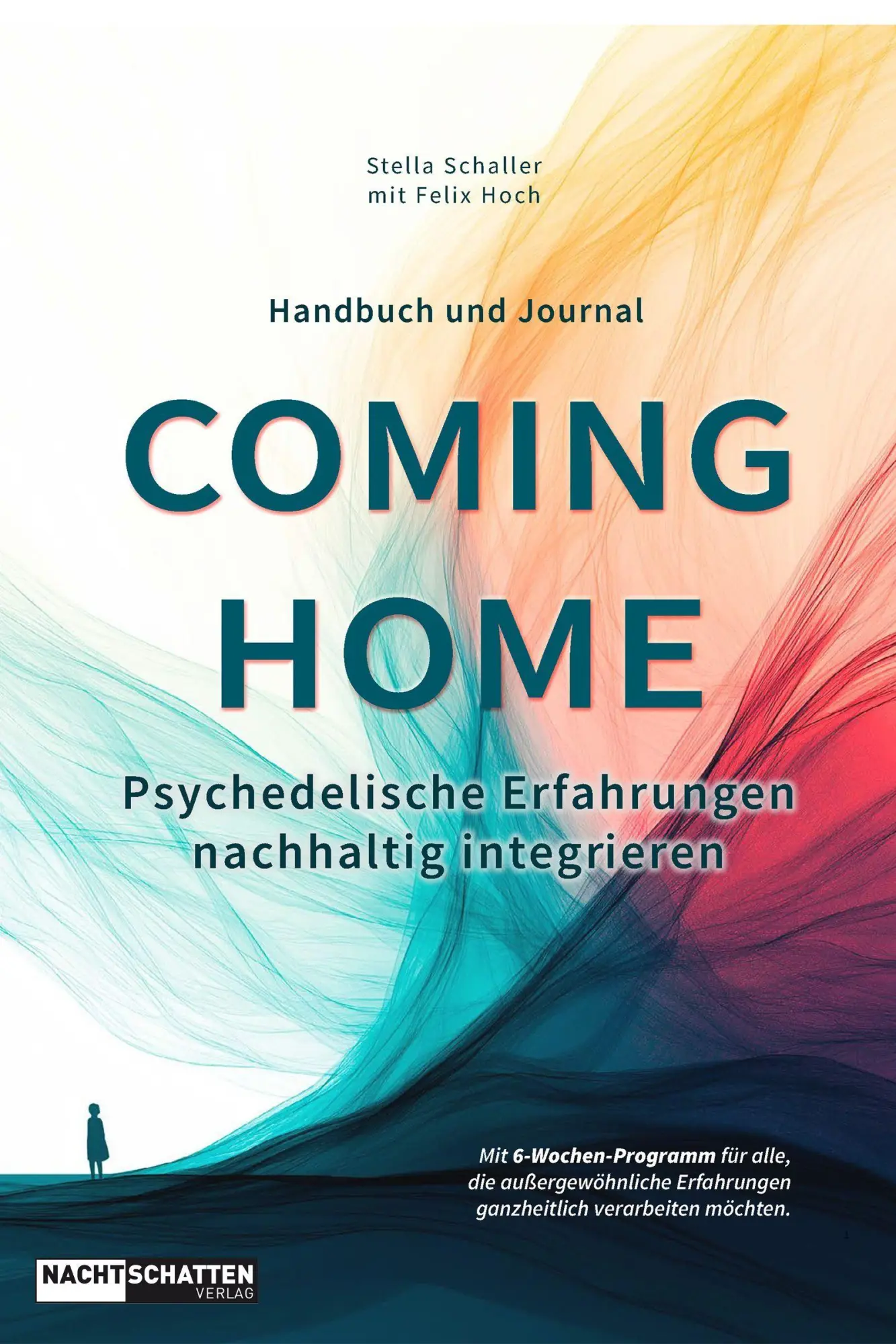 Cover: 9783037887172 | Coming Home | Psychedelische Erfahrungen nachhaltig integrieren | Buch