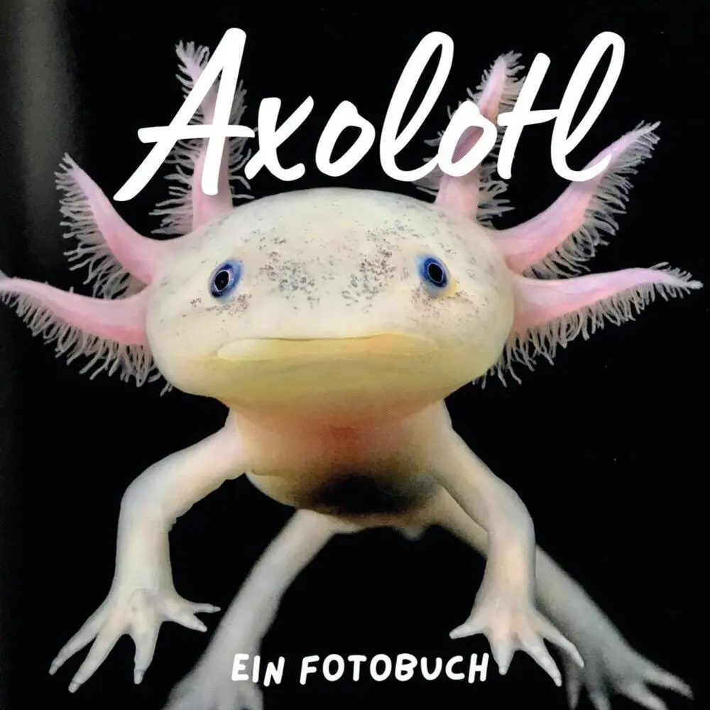 Cover: 9783750517172 | Axolotl | Bibi Hübsch | Taschenbuch | 42 S. | Deutsch | 2022