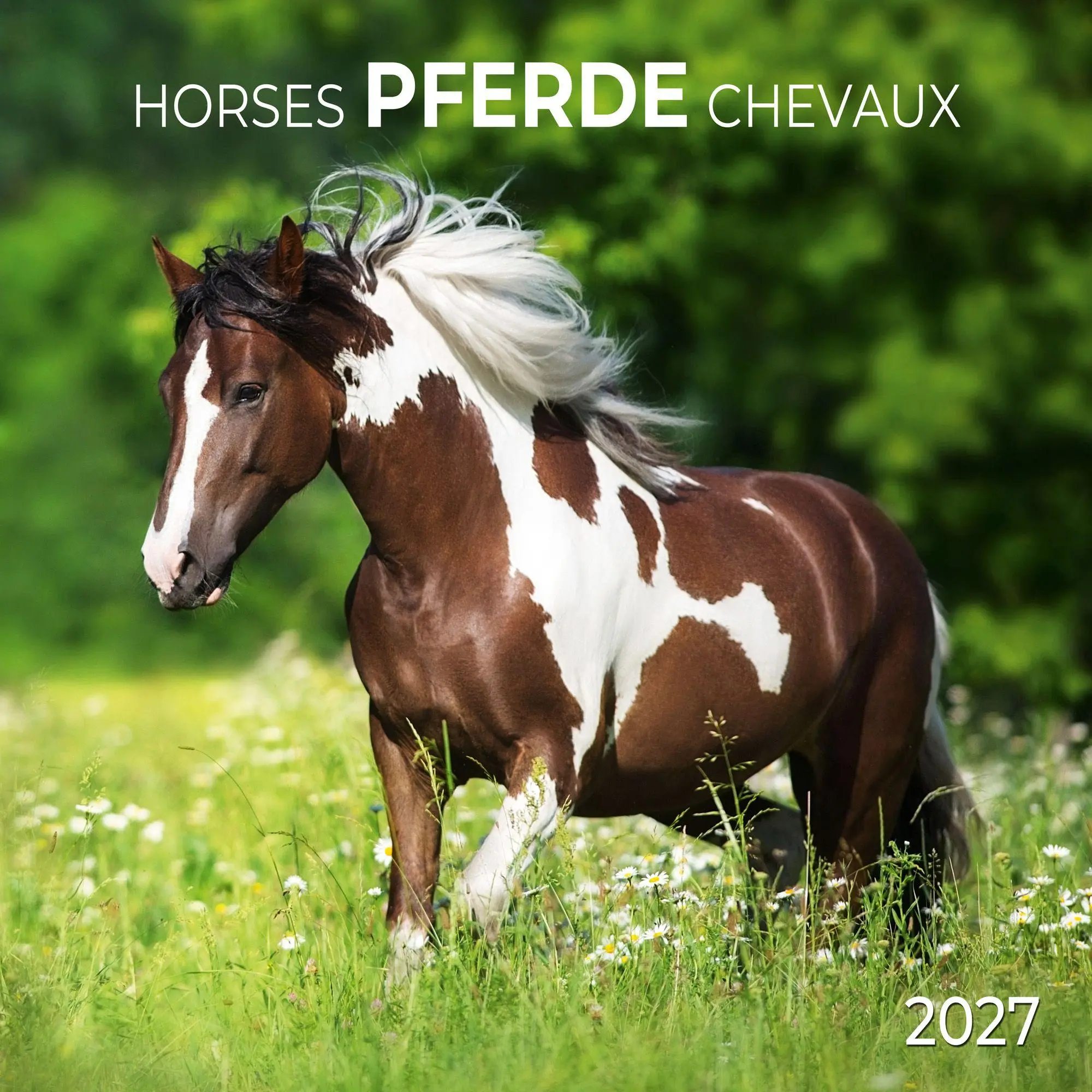Cover: 9783959297172 | Pferde / Horses 2027 | Kalender 2027 | Kalender | Artwork Edition